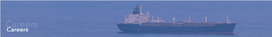 We Detail Ships