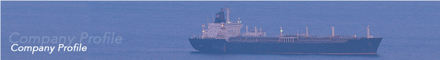 We Detail Ships